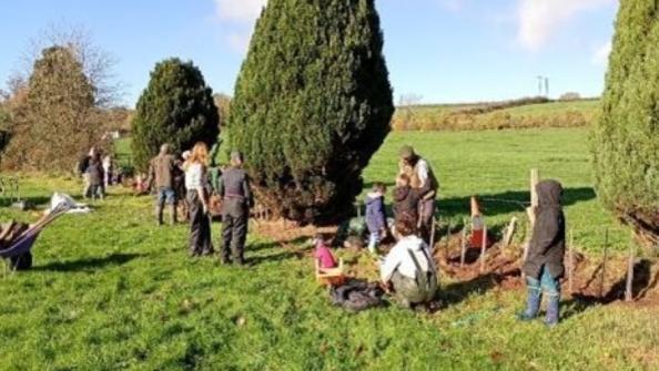 St Barts Planting big.jpg