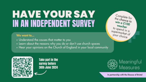 Meaningful Measures Survey (Twitter Post).png