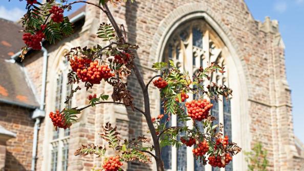 St Peter's with Rowan berries.jpg